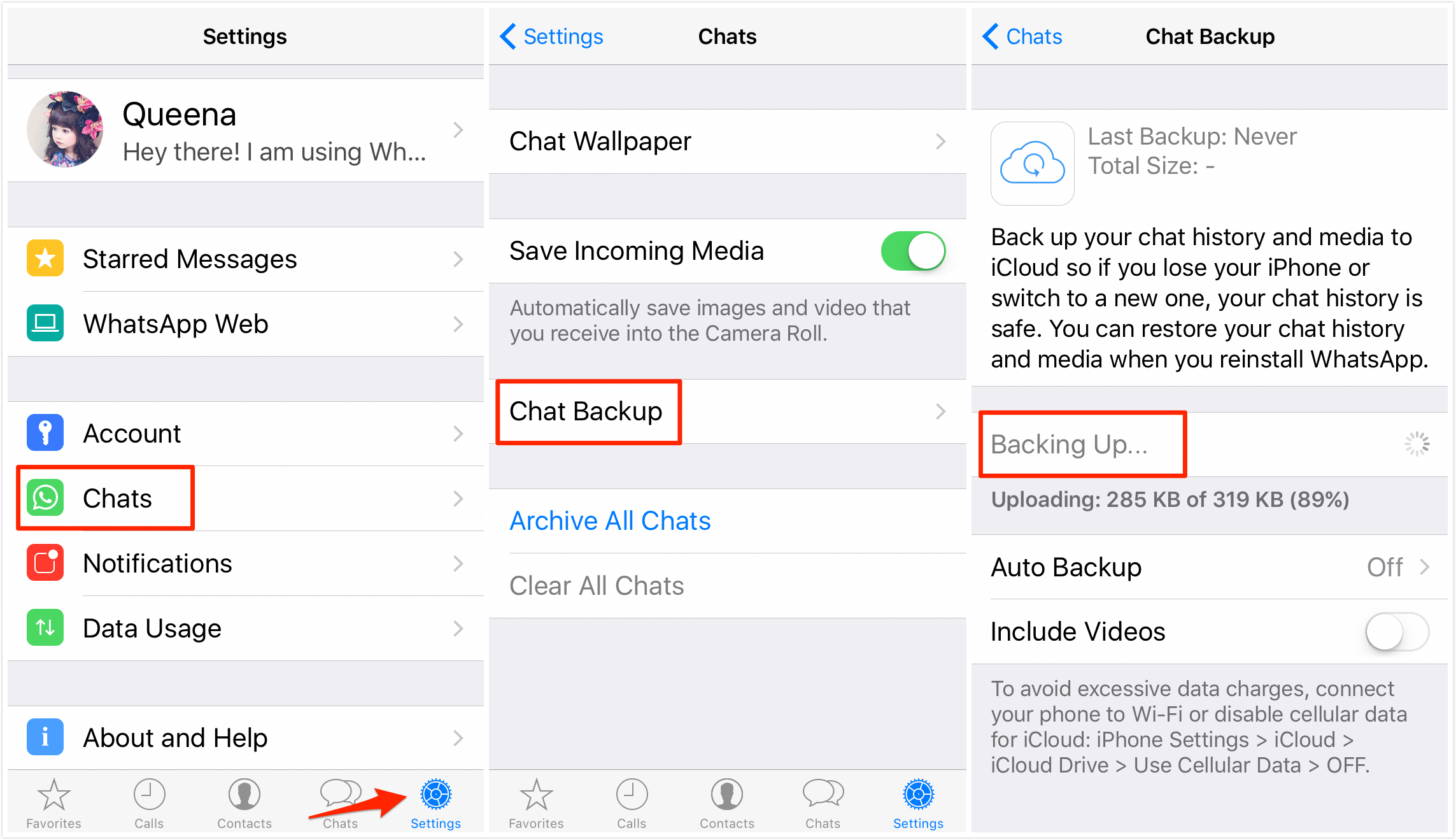 ICLOUD WHATSAPP. Ватсап на айфоне. Чат WHATSAPP iphone. Ватсап файлы айфон.