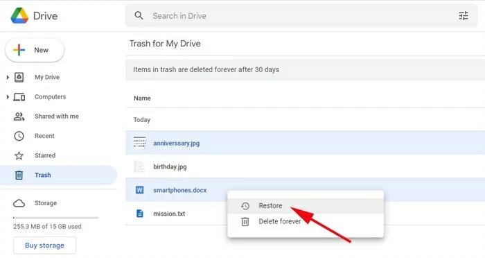 Restore Lost Chromebook files from Cloud Backup