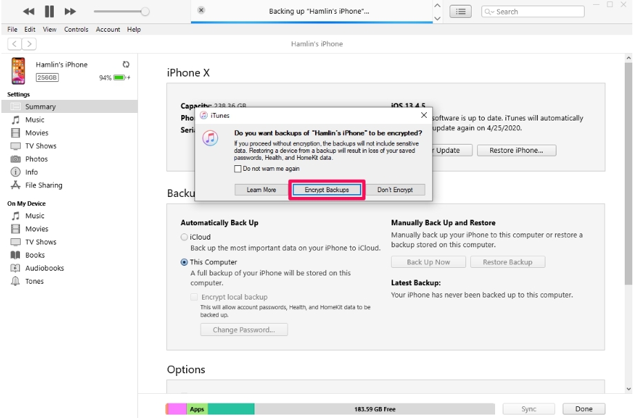 Encrypt local backup